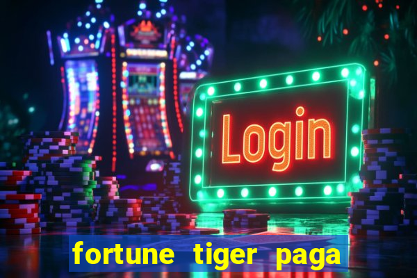 fortune tiger paga de madrugada